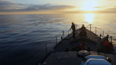 Imagen de Operación Marea Negra: La Travesía Suicida - 5
