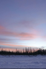 Imagen de Alaska paranormal (T1): Fiebre en la cabina - 4