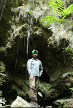 Imagen de Los tesoros perdidos...: Los secretos de la ciudad perdida - 6