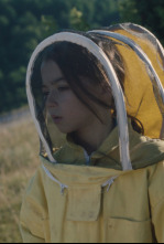 Imagen de 20.000 especies de abejas - 4