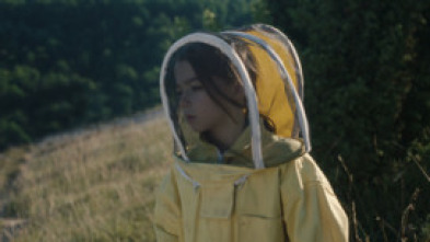 Imagen de 20.000 especies de abejas - 5