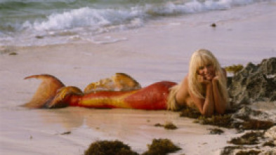 Imagen de Un, dos, tres... Splash - 5