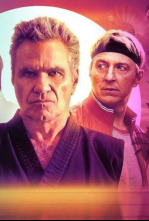 Imagen de Cobra Kai (T5): Ep.1 Muy lejos de casa - 9