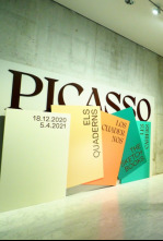 Imagen de Un passeig pels museus: Un passeig pel Miró - 4