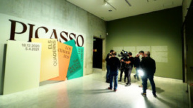 Imagen de Un passeig pels museus: Un passeig pel Miró - 5