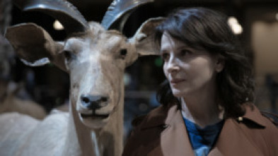 Imagen de La fàbrica de les...: Episodi 1 - 5