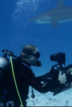 Imagen de Tiburones vs. Ross Edgley - 4
