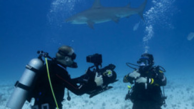 Imagen de Tiburones vs. Ross Edgley - 5
