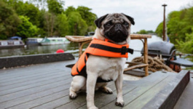 Imagen de Patrick - 5