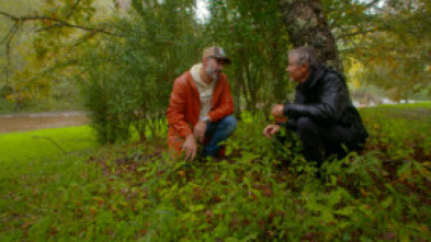 Imagen de El señor de los... (T2): Sierra de Montsant (Tarragona) - 5
