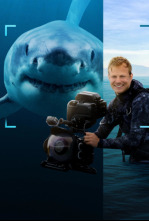 Imagen de Tiburones en primer plano con Bertie Gregory - 4
