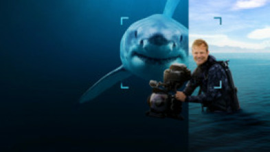 Imagen de Tiburones en primer plano con Bertie Gregory - 5