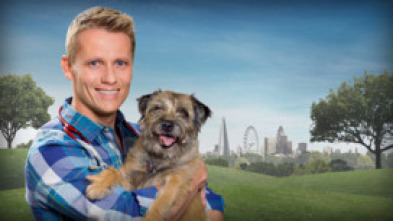 Imagen de Veterinario en la ciudad (T1): Ep.1 - 6