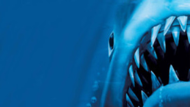 Imagen de Jaws 3 (El gran tiburón) - 6