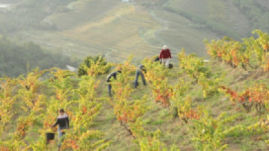 Imagen de Priorat - 5