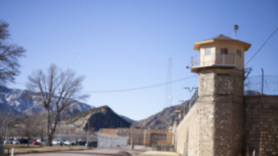Imagen de El valle de los malditos  - 5