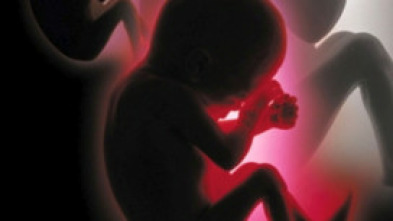 Imagen de Proyecto Casandra - 5