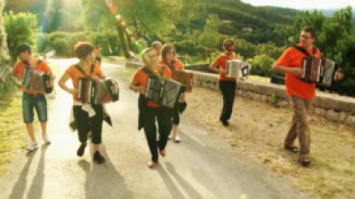 Imagen de Trikifollia - 5