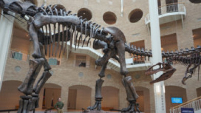 Imagen de Dinosaurios del continente helado  - 5
