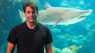 Imagen de Tiburones caníbales - 9