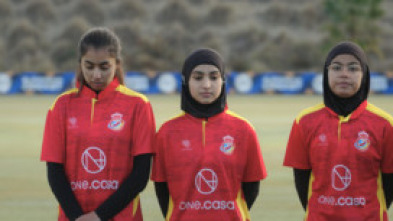 Imagen de Les del criquet - 5