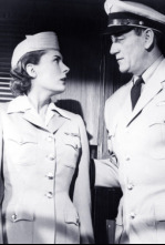 Imagen de Escrito en el cielo - 4