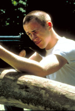 Imagen de O crente - 4