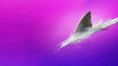 Imagen de Tiburones adictos - 8
