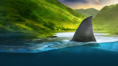 Imagen de Tiburones en la costa (T1) - 7