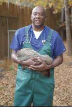 Imagen de Critter fixers:...: Piel de gallina - 5