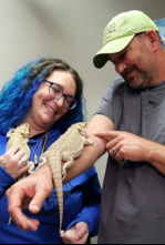 Imagen de Veterinarios de Nebraska: Que el caballo te acompañe - 4