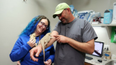 Imagen de Veterinarios de Nebraska (T4) - 5