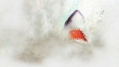 Imagen de Mega depredadores - 7