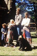 Imagen de Las aventuras de la familia Robinson - 4