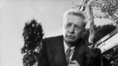 Imagen de Umberto D - 5