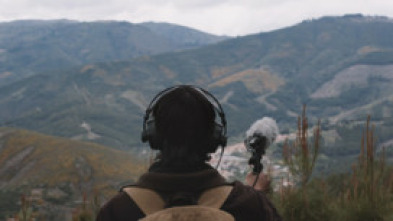 Imagen de À procura da estrela - 5
