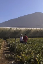 Imagen de Andaluces por España (T4): Fuerteventura - 4