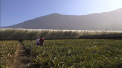 Imagen de Andaluces por España (T4): Fuerteventura - 5
