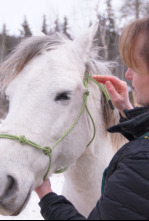 Imagen de Una veterinaria...: Un bisonte muy listo - 5