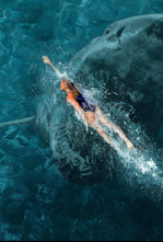 Imagen de Surviving Jaws - 8