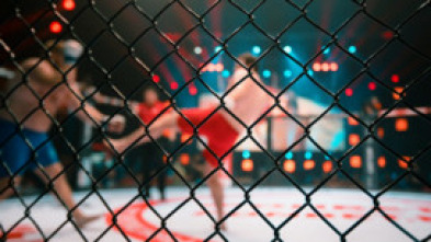 Imagen de UFC 119: Mir vs... (2010): Frank Mir vs Mirko Cro Cop - 5