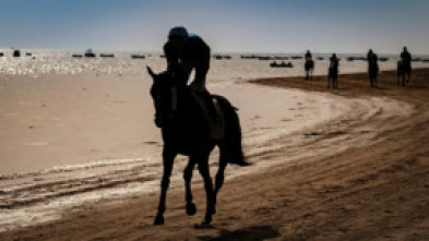 Imagen de Carreras de Caballos de Sanlúcar - 5