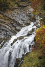 Imagen de De parque en parque: Parque Nacional Sierra de Guadarrama - 4