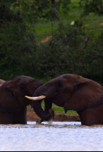 Imagen de Muerte en el río - 4