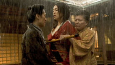 Imagen de Memorias de una geisha - 5