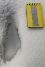 Imagen de El Yeti, la nueva evidencia - 4