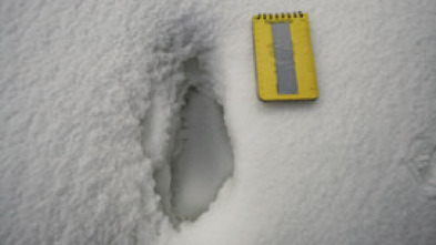 Imagen de El Yeti, la nueva evidencia - 5