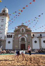 Imagen de Luchada Institucional Virgen de la Candelaria - 4
