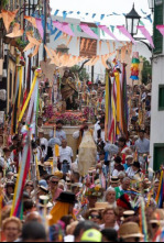 Imagen de Romería de San Roque Garachico - 4