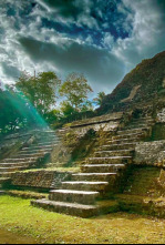 Imagen de El declive de los reyes mayas - 4